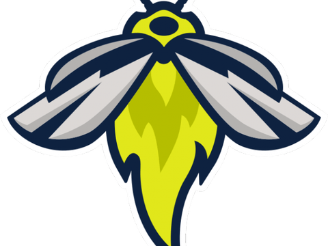 Firefly PNG