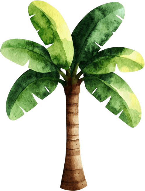 Watercolor Palm Tree PNG