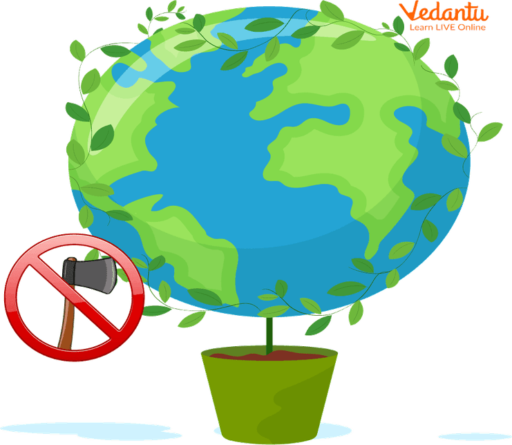 Tree Earth PNG