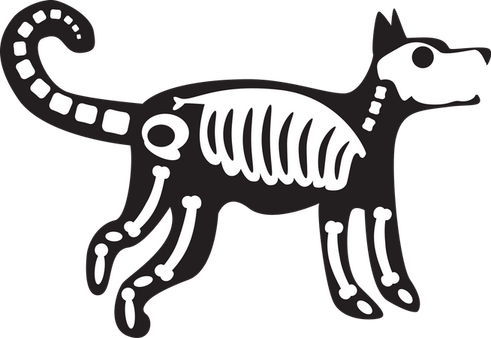 Dog Skull PNG