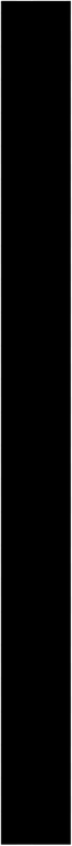 Vertical Line PNG