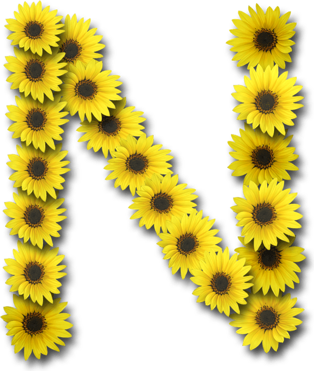 N Letter Alphabet PNG