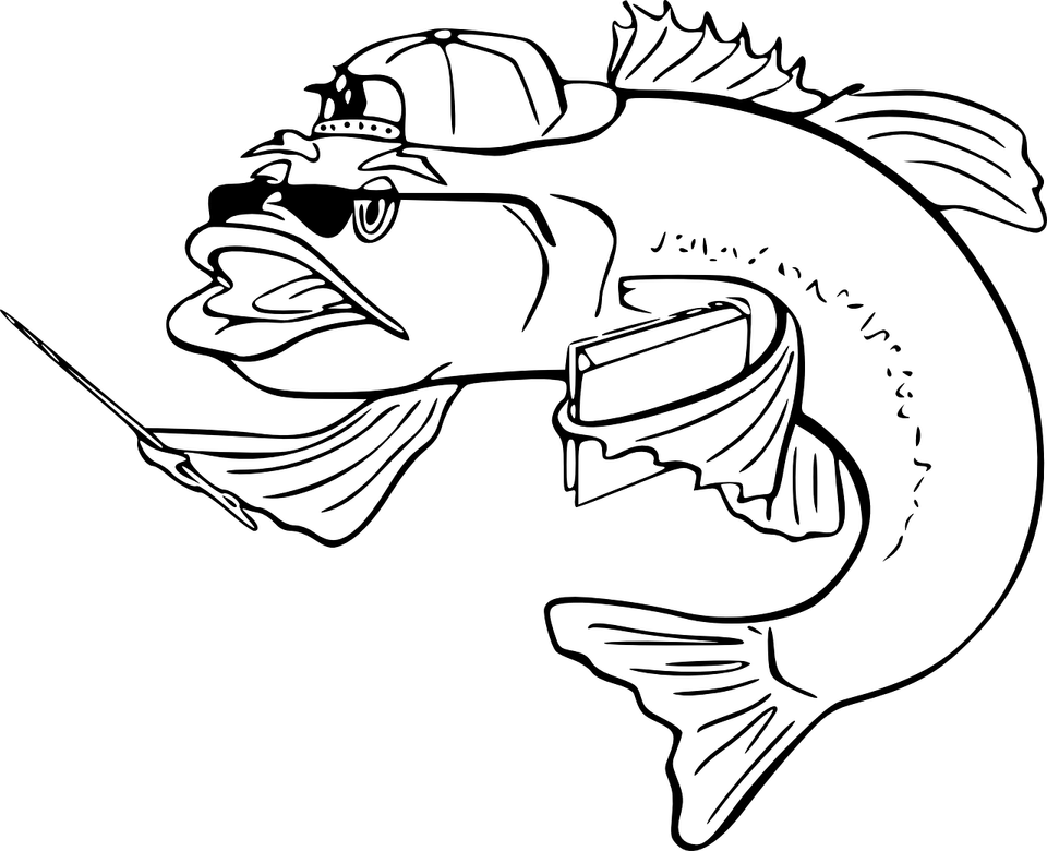 Funny Fish PNG