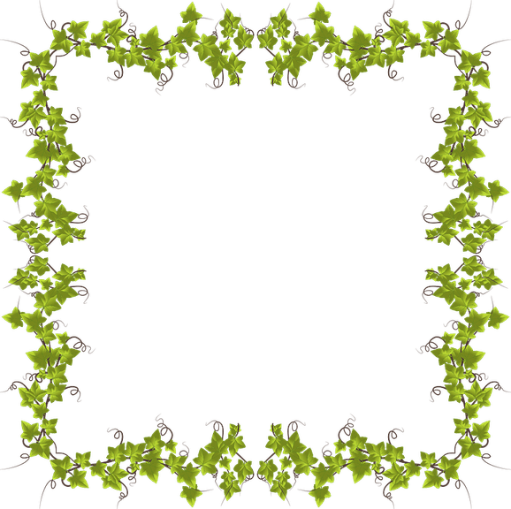 Ivy PNG
