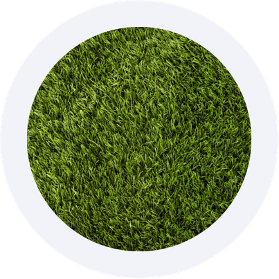 Grass Circle PNG