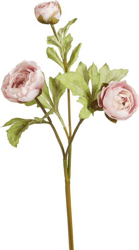 Artificial Rose PNG
