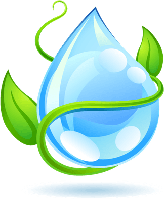 Water Leaf PNG