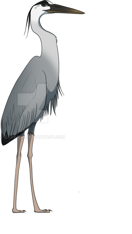 Heron PNG