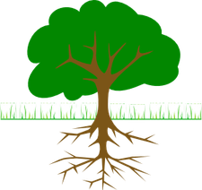 Roots PNG