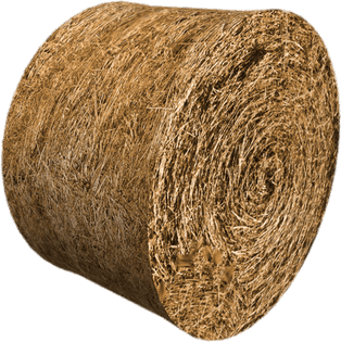 Hay PNG