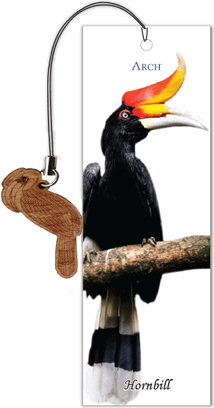 Rhinoceros Hornbill PNG