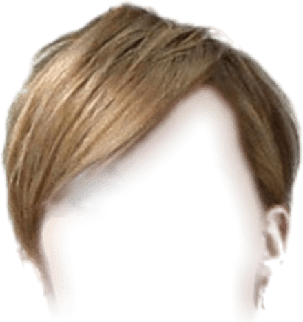 Karen Hair PNG
