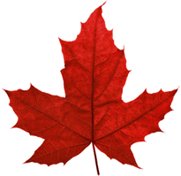 Canada Leaf PNG