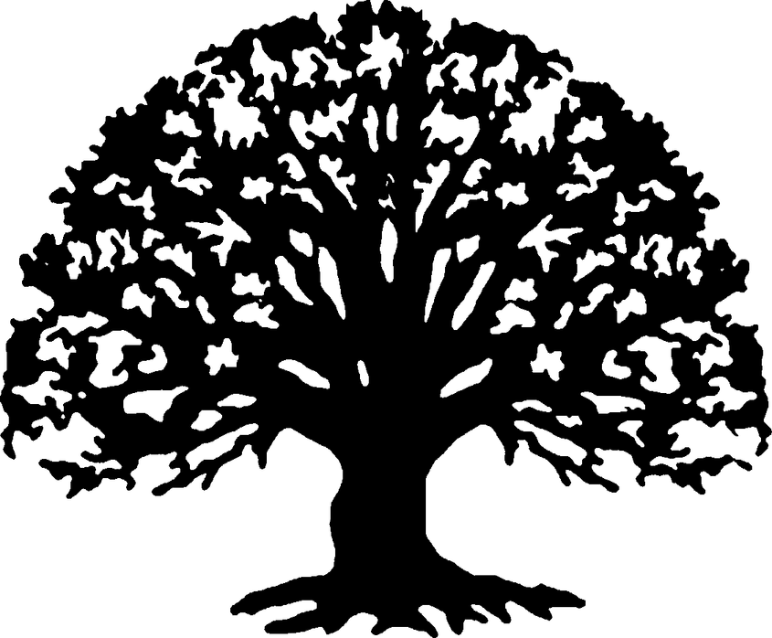 Family Tree PNG