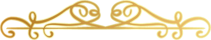 Line Design PNG
