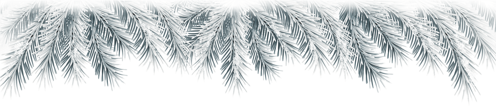 Christmas Branches PNG