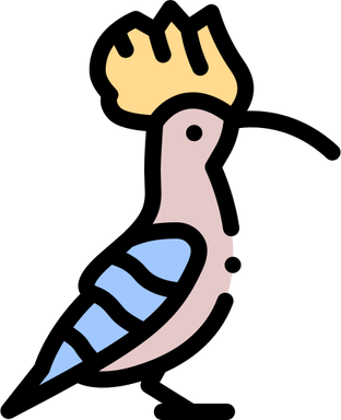 Hoopoes PNG