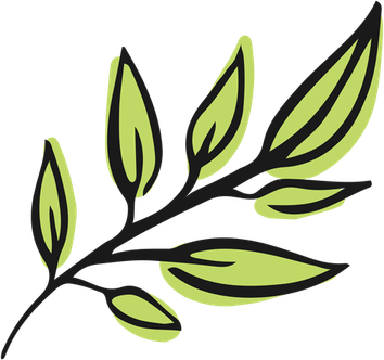 Aesthetic Leaf PNG