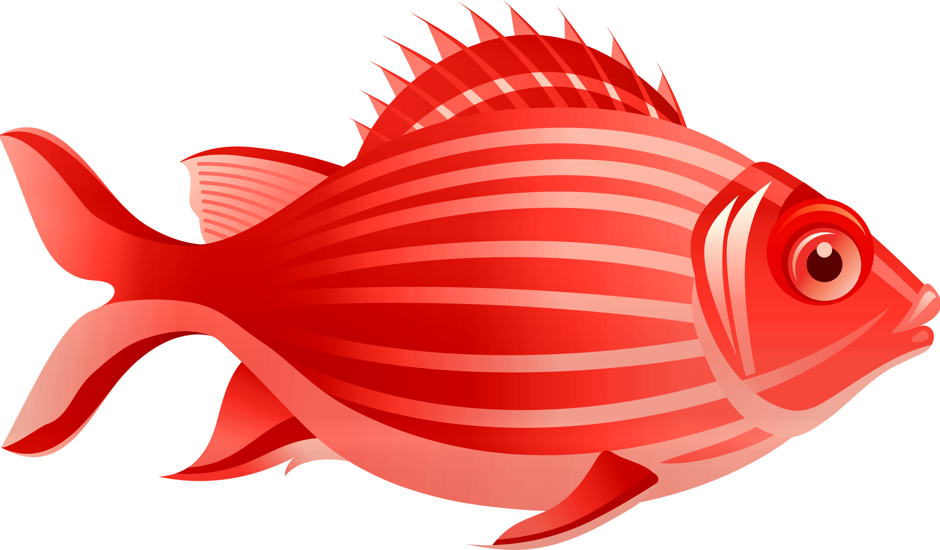 Red Fish PNG