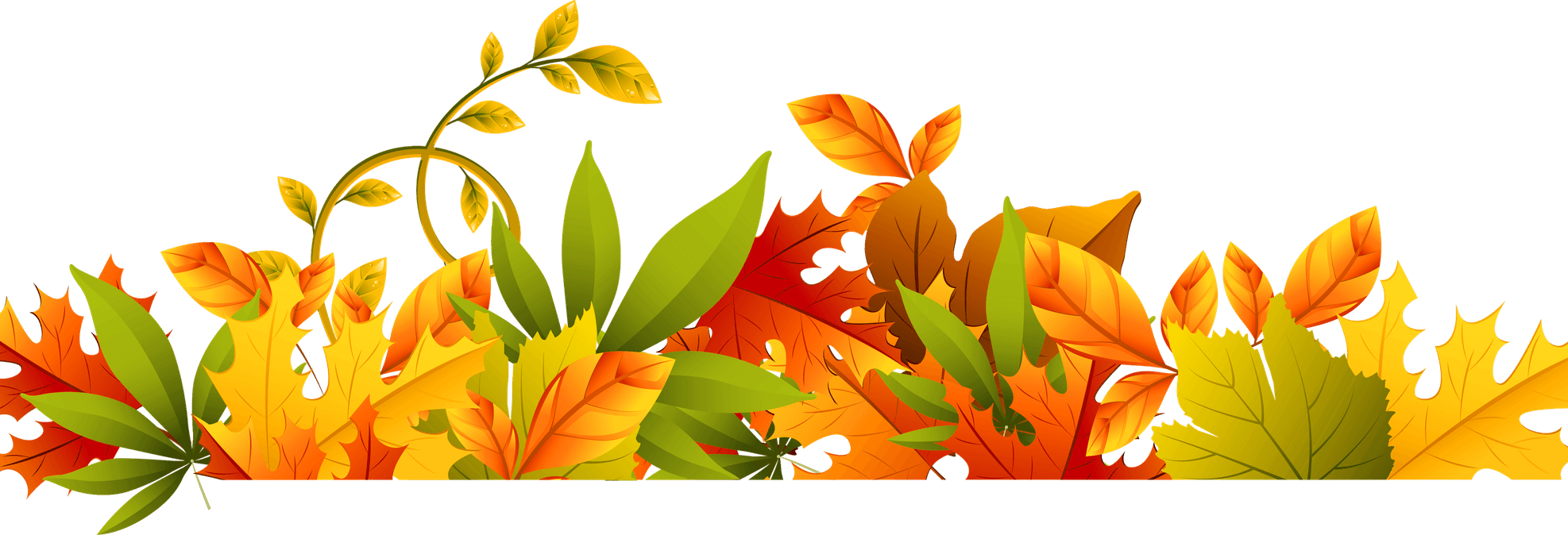 Leaves Divider PNG
