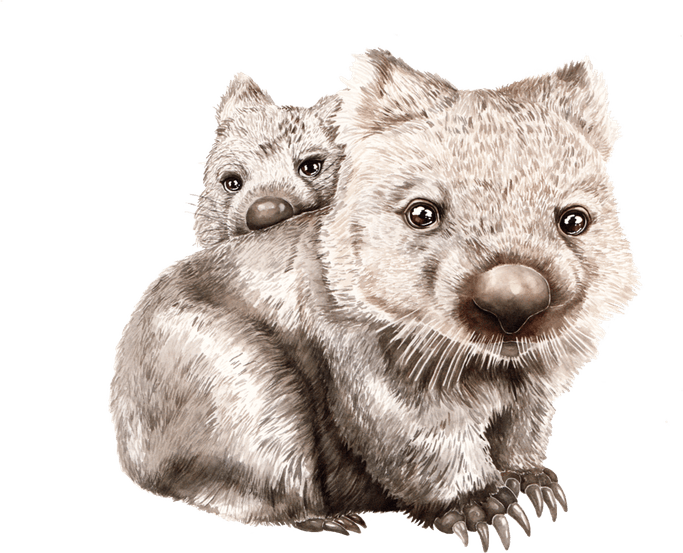 Wombats PNG