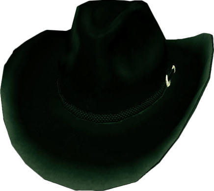 Black Cowboy Hat PNG