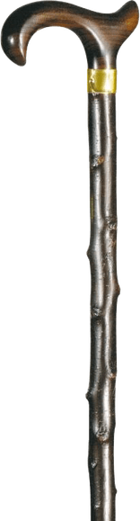 Stick PNG