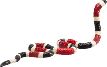 Kingsnakes PNG