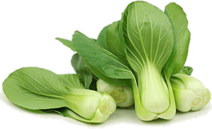 Bok Choy PNG