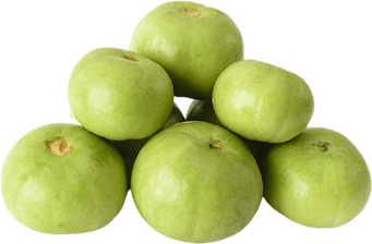 Breadfruit PNG