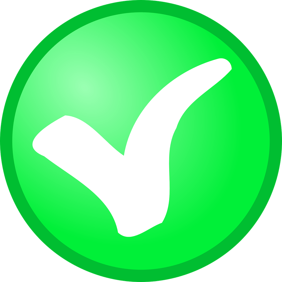 Small Check Mark PNG
