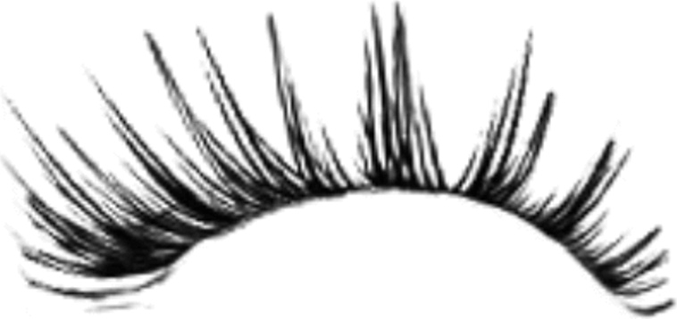 Eyelashes Logo PNG