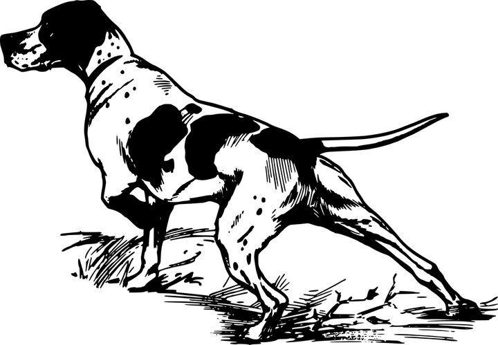 Hunting Dog PNG