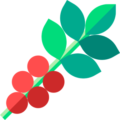 Coffee Bean Tree PNG