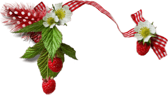 Strawberry Border PNG