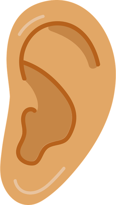Ears PNG