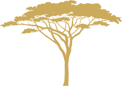 Safari Tree PNG