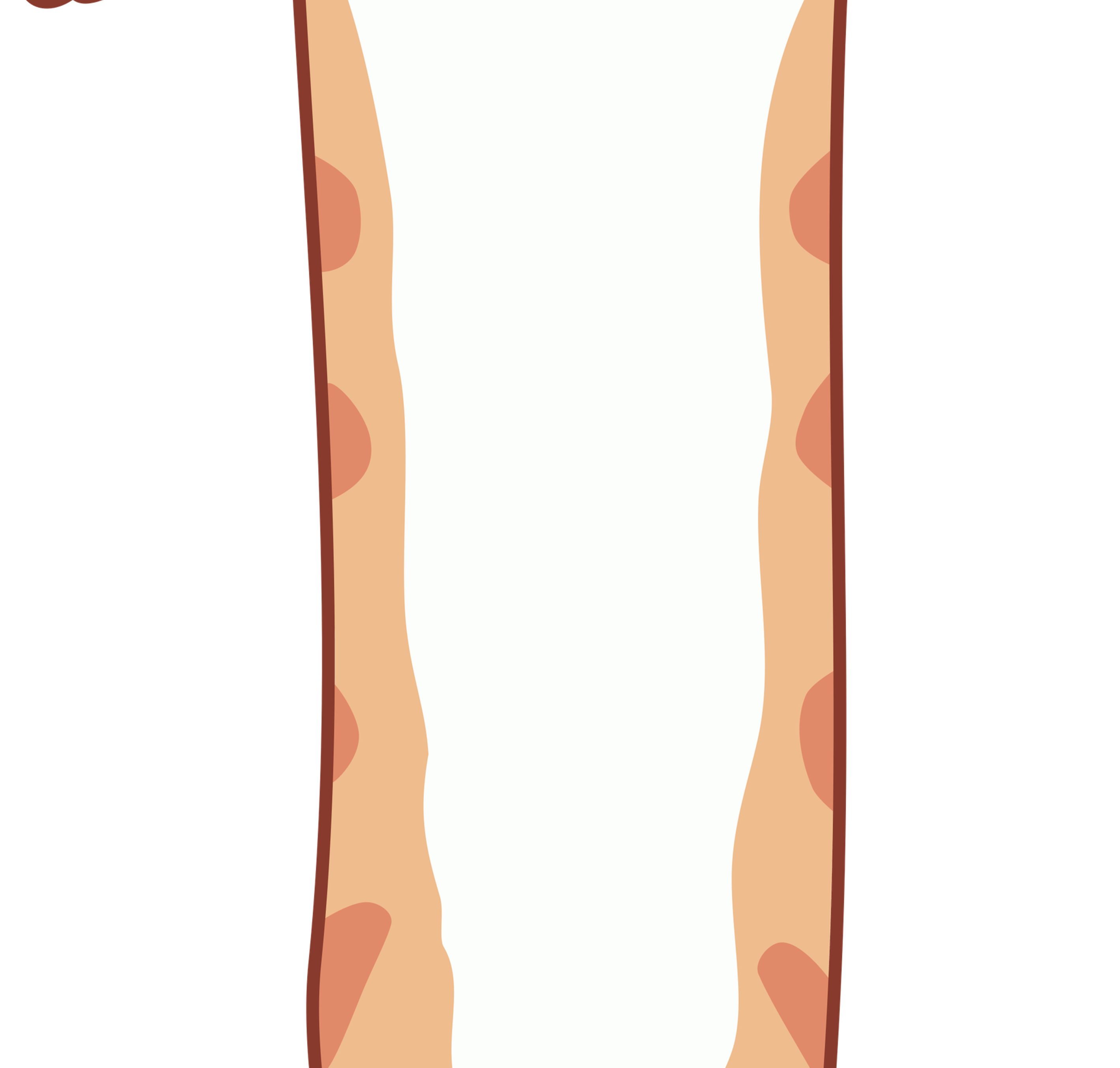 Street Cat PNG