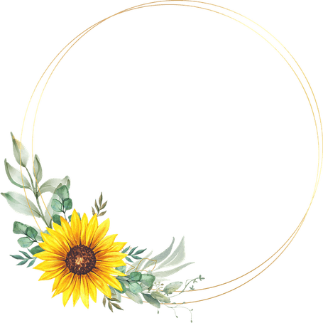 Wedding Album Design Flower PNG