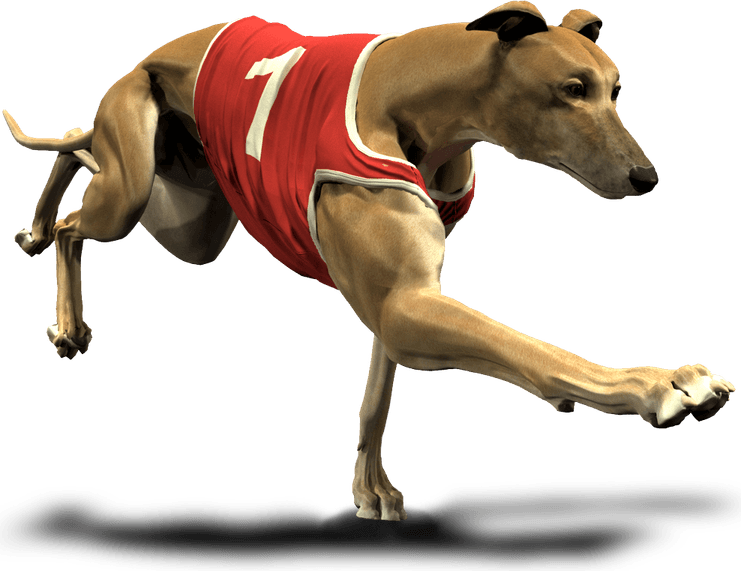 Greyhound PNG