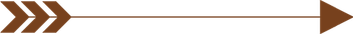 Indigenous Arrow PNG