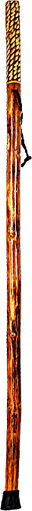 Stick PNG