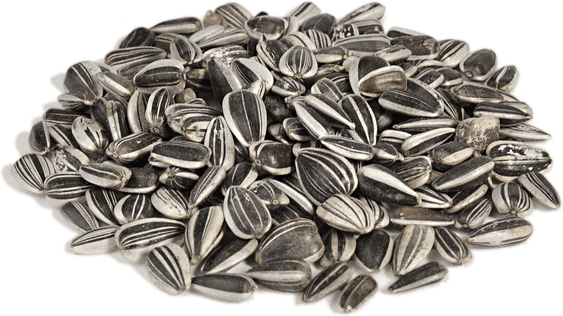 Seeds PNG