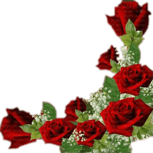 Rose Corner PNG