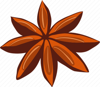 Brown Star PNG