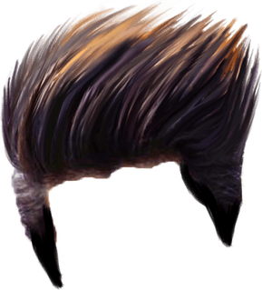 Haircut PNG