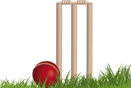 Wicket PNG