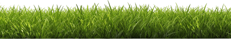 Ai Grass PNG