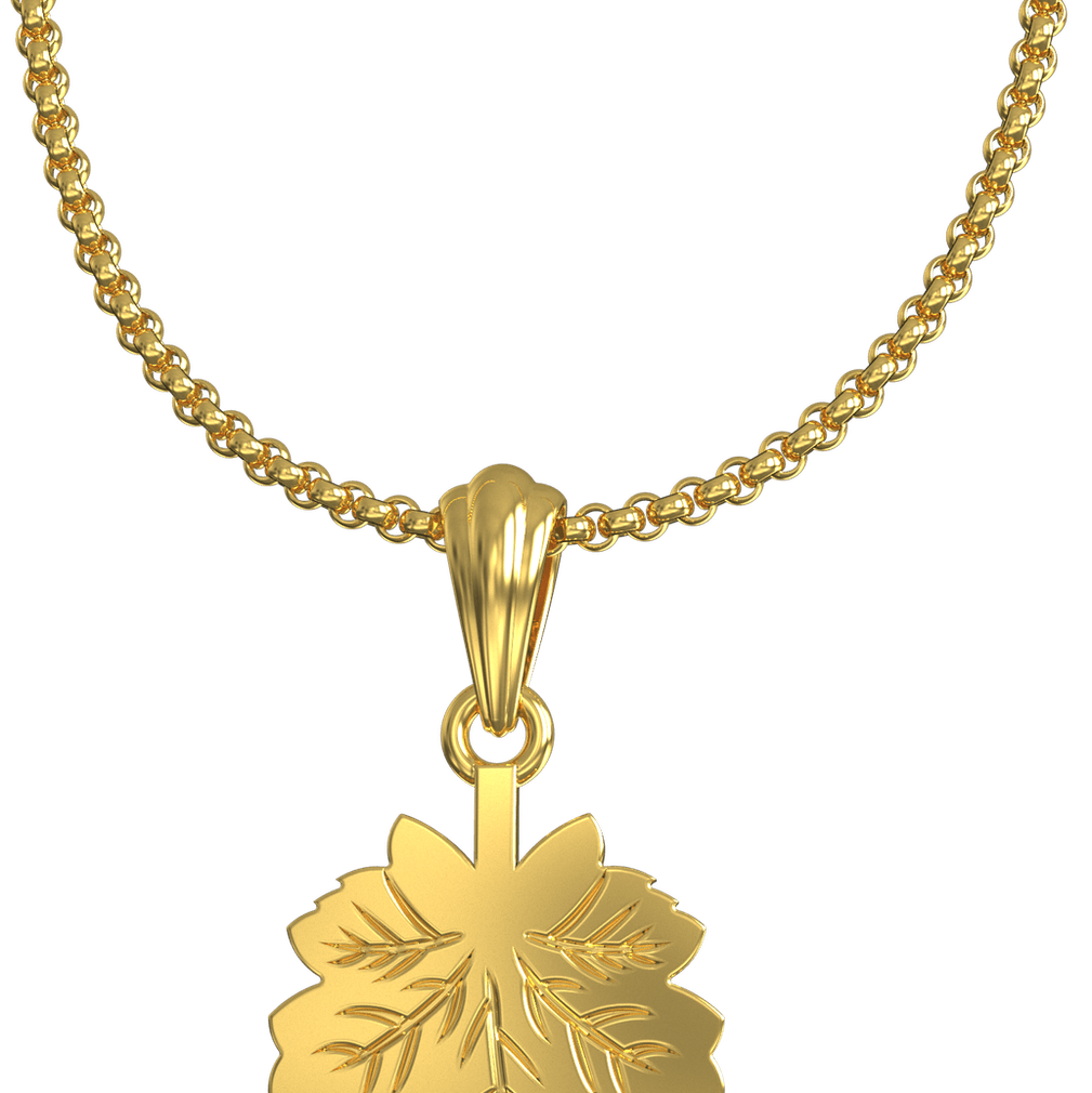 Gold Necklace PNG