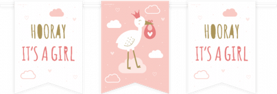 Baby Girl Banner PNG